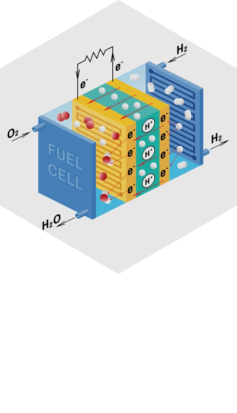 fuel cell